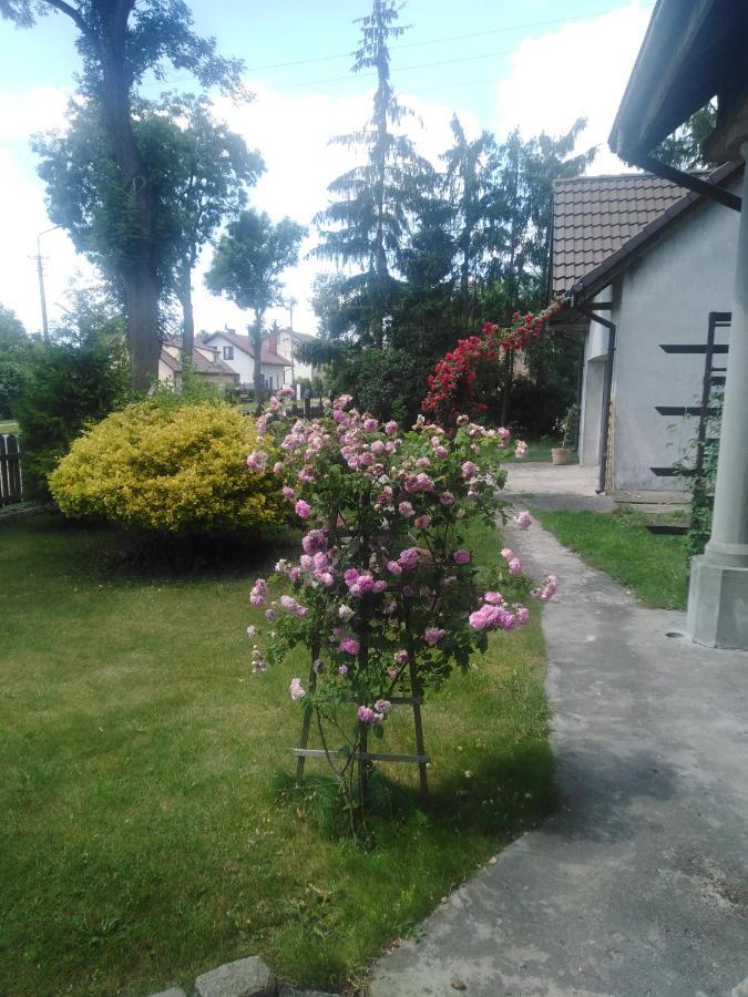 Piernikowy Dworek Lubicz Ngoại thất bức ảnh