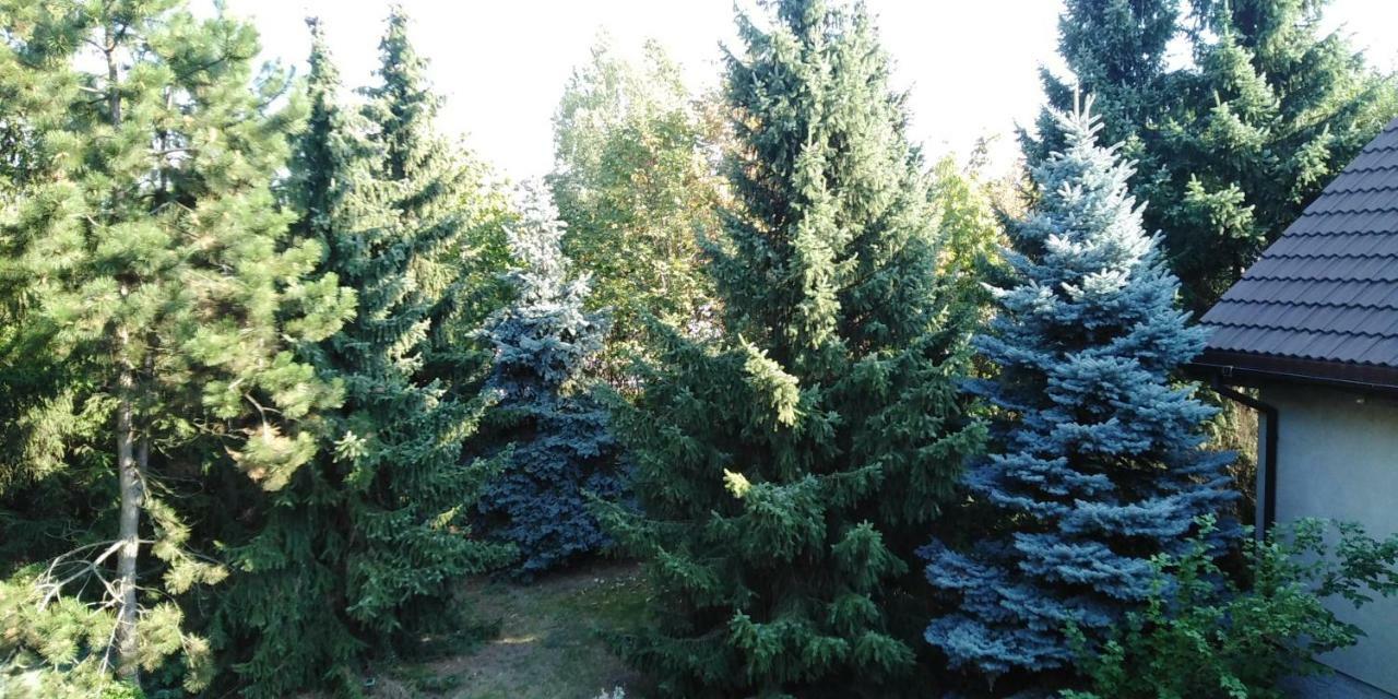 Piernikowy Dworek Lubicz Ngoại thất bức ảnh